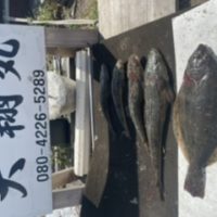 三重県｜津大翔丸のマゴチ　ヒラメ釣り大人気