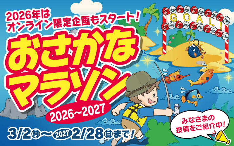 フィッシング遊 おさかなマラソン