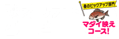 フィッシング遊 映えフォトダービー マダイ映えコース